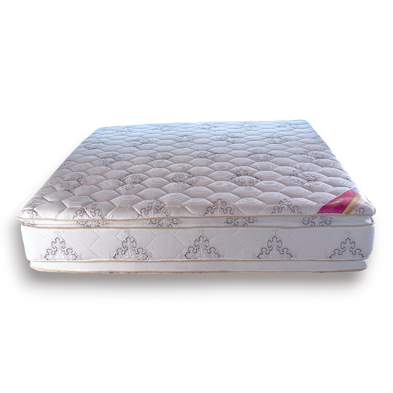 Pacífico Premium - Image 4